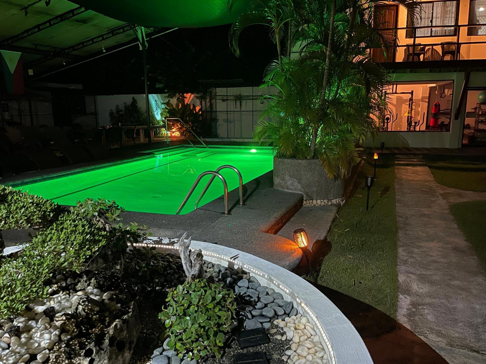 Parrot Resort Moalboal Ngoại thất bức ảnh